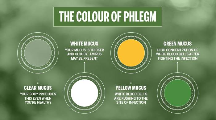 Graphic explaining the varying colour of phlegm and its meanings